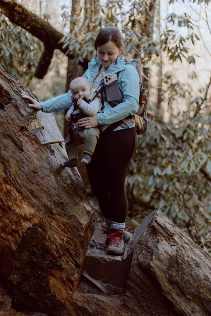 Woman with baby in baby carrier climbing across tree during hike.