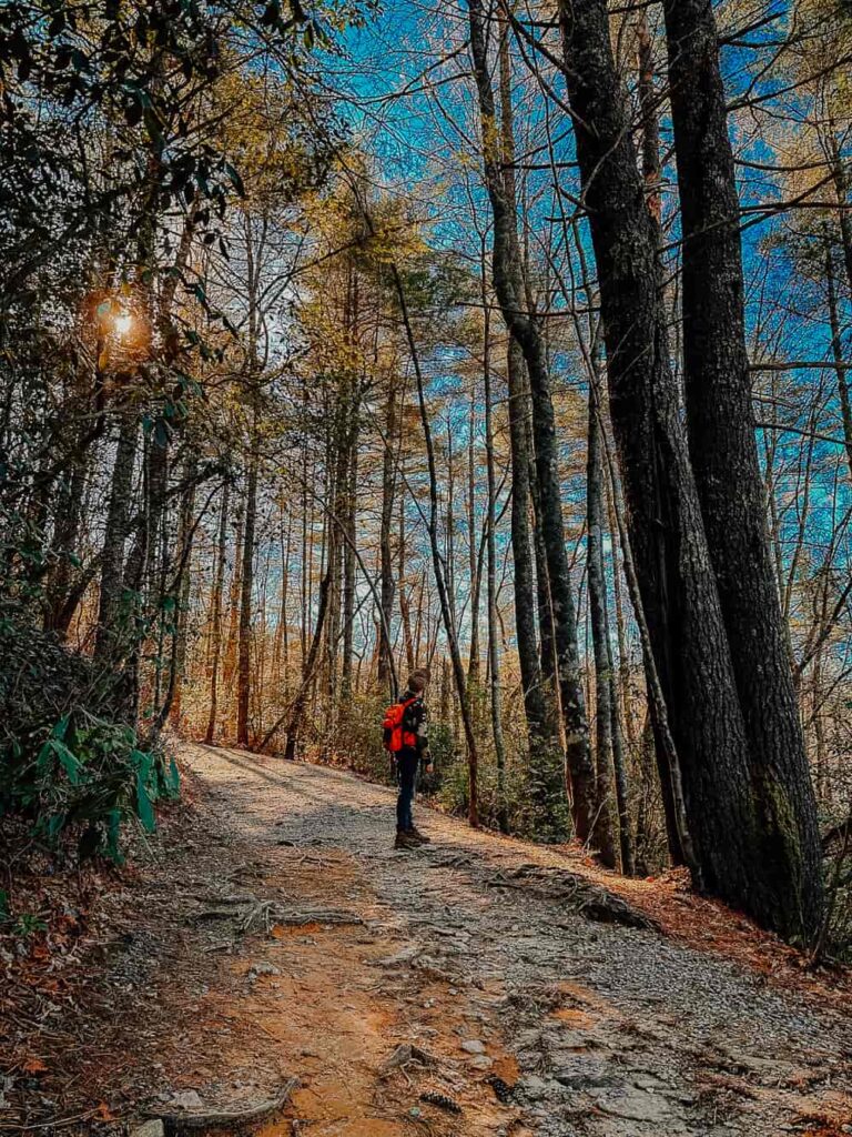 Boy standing on hiking trail with sun shining through the trees.