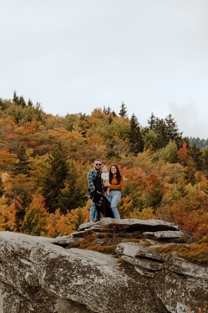Man, woman, baby and dog standing on rock in front of fall colored trees at Rough Ridge overlook in Boone, NC.