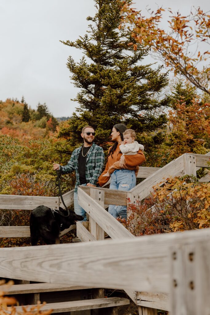 Man, woman, baby and dog walking down steps in front of fall colored trees at Rough Ridge overlook in Boone, NC.