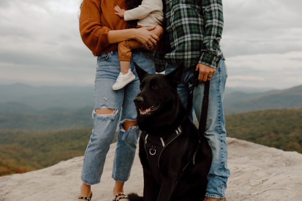 Man, woman, dog and baby standing on rock in front of fall colored trees at Rough Ridge overlook in Boone, NC.