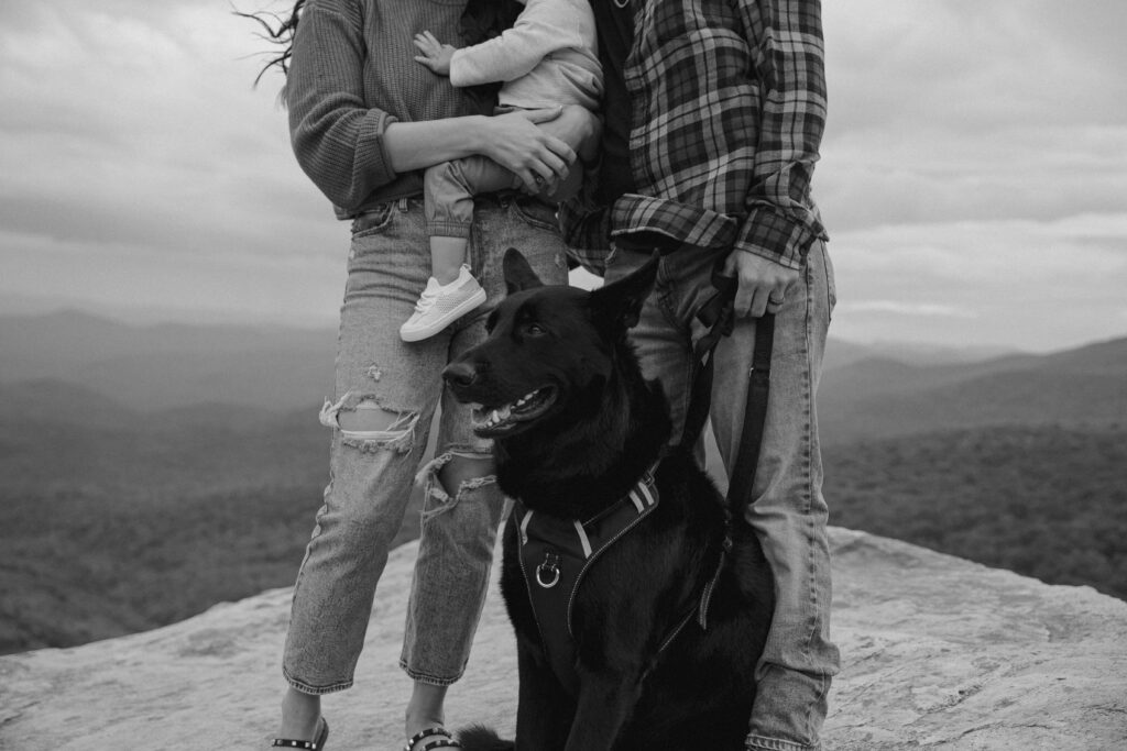 Man, woman, dog and baby standing on rock in front of fall colored trees at Rough Ridge overlook in Boone, NC.