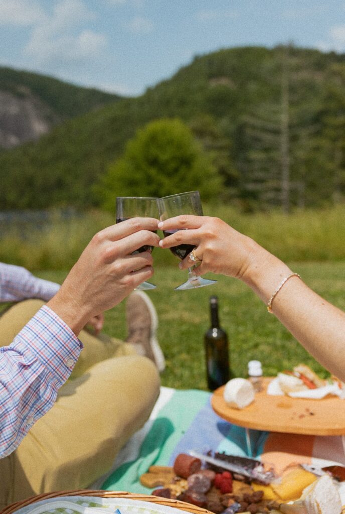 Man and woman tapping wine glasses together during a picnic.