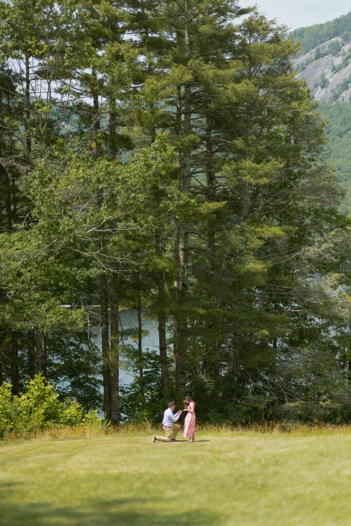 Man proposing to a woman in a field in front of mountain.