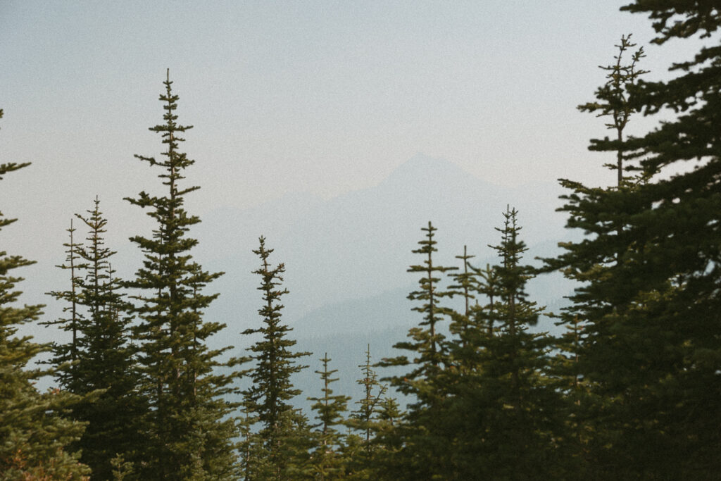 landscape photo of trees with mountains in washington.