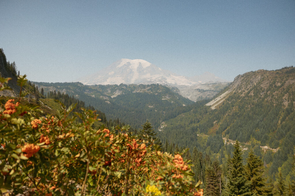 mount rainier landscape photo with orange flowers in the foreground.