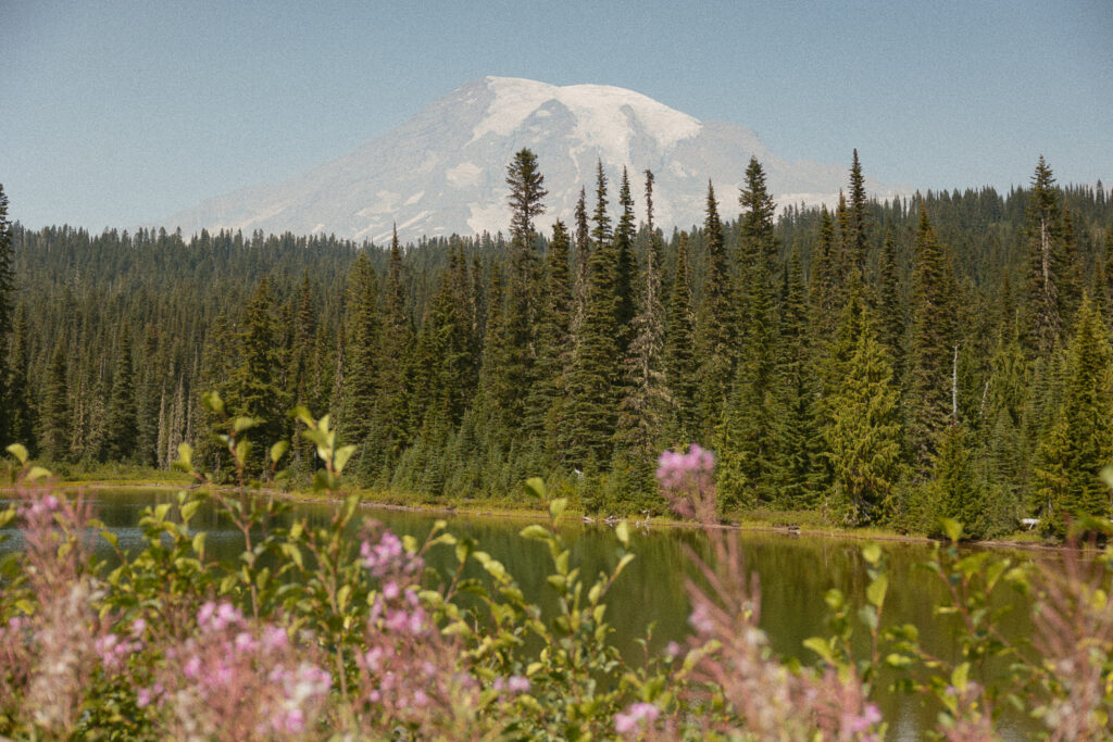 landscape photo of mount rainier with purple flowers in foreground.