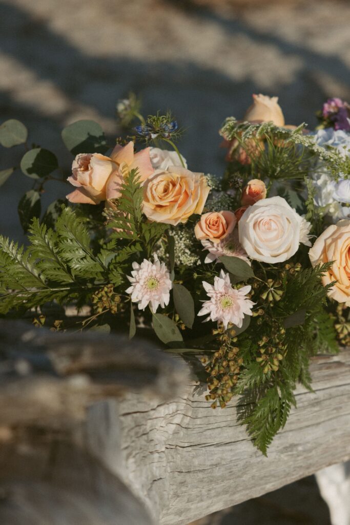 Colorful florals sitting on driftwood.