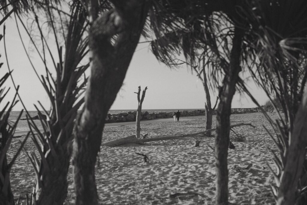 Man and woman in wedding attire walking down beach with palm trees in the foreground. 