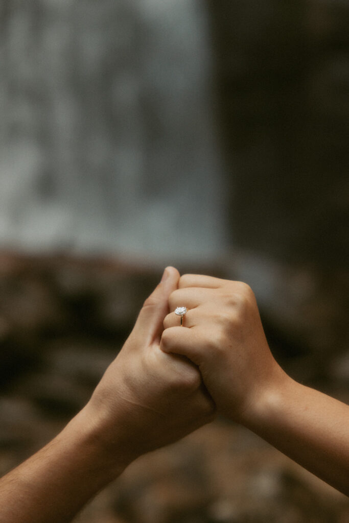 Man and woman holding hands in front of Looking Glass Falls.