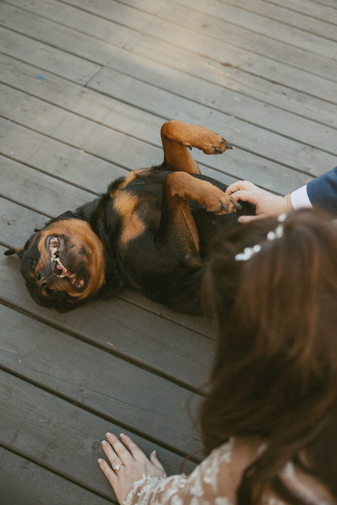 bride and groom petting their dog on airbnb deck during their elopement