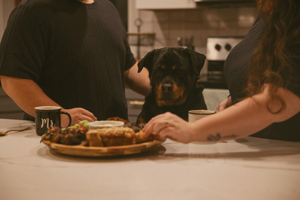 dog with front paws up on countertop looking at food