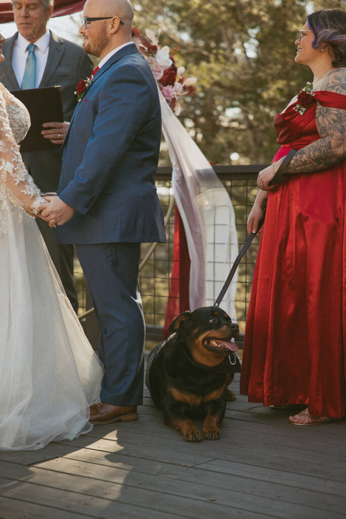 dog laying down at grooms feet during wedding ceremony