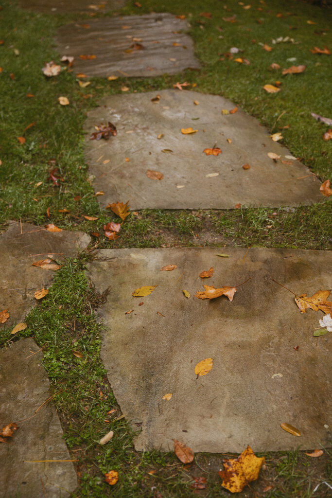 rain and leaves on sidewalk