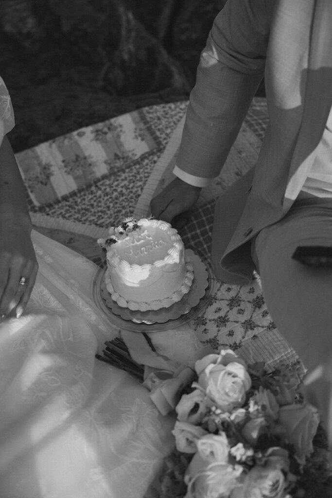 small elopement wedding cake sitting on blanket in between husband and wife